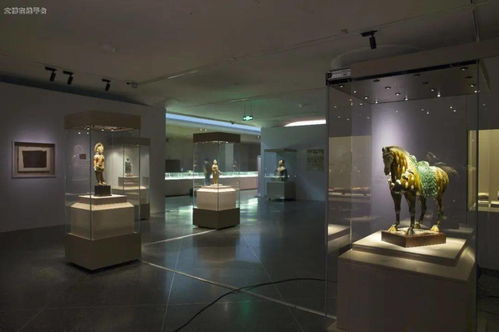 絲路遺珍，雪域瑰寶——2019年度十大陳列展覽精品之《絲綢之路上的文化交流 吐蕃時期藝術珍品展》推介