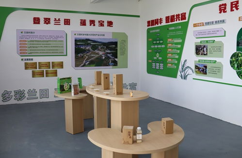 龍巖新羅 千年薏米貢品煥新生，全鏈增值打造“共富金豆”
